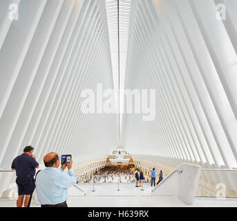 Simile ad una cattedrale hall di transito interno dalla piattaforma di osservazione. L'occhio, World Trade Center Hub di trasporto, New York, Regno Foto Stock