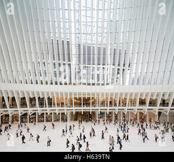 Simile ad una cattedrale hall di transito interno dalla piattaforma di visualizzazione sul livello della strada. L'occhio, World Trade Center Hub di trasporto, New York, Stati Uniti. L'Architetto Santiago Calatrava, 2016. Foto Stock