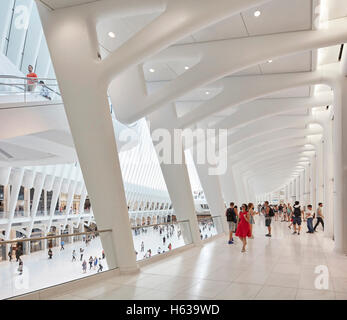 Simile ad una cattedrale hall di transito interno visto dal corridoio. L'occhio, World Trade Center Hub di trasporto, New York, Stati Uniti. L'Architetto Santiago Calatrava, 2016. Foto Stock