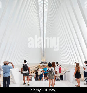 Simile ad una cattedrale hall di transito interno dalla piattaforma di osservazione. L'occhio, World Trade Center Hub di trasporto, New York, Regno Foto Stock