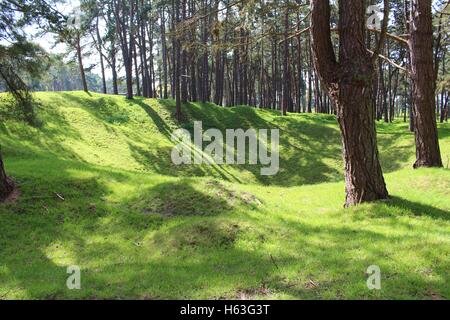 Campo di battaglia ricoperta di trincee e bunker, Vimy, Francia Foto Stock