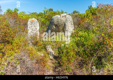 Dimenticato e abbandonato sito preistorico in Corsica hills - 6 Foto Stock