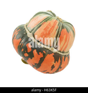 Arancione e verde listati Turban squash nel profilo, isolato su uno sfondo bianco Foto Stock