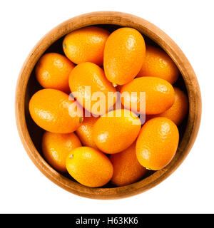 Kumquat fresca in una ciotola di legno su sfondo bianco, chiamato anche cumquats e Nagami kumquat. Commestibile ovale di piccoli frutti di colore arancione. Foto Stock