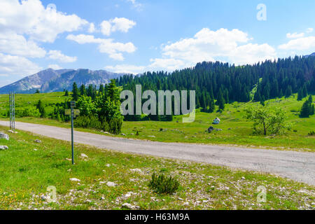 Vista del paesaggio nel Parco Nazionale del Durmitor, nel nord del Montenegro Foto Stock