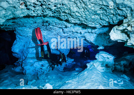 Scuba Diver in Calavera Cenote, Tulum, la penisola dello Yucatan, Messico Foto Stock