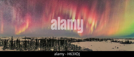 Un panorama attraverso il nord di un debole aurora appena visibile a occhio nudo ma molto fotogenico per la fotocamera. Queste tendine sono state pri Foto Stock