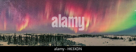 Un panorama attraverso il nord di un debole aurora appena visibile a occhio nudo ma molto fotogenico per la fotocamera. Queste tendine sono state pri Foto Stock