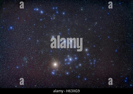 Il Hyades open star cluster in Toro con la brillante stella Aldebaran, non fa parte del cluster iteslf. Il più piccolo e più di Foto Stock