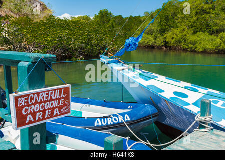 Barche in una banchina di ormeggio e la foresta di mangrovie. Foto Stock