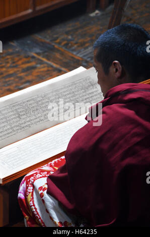 Un monaco buddista legge da un libro di preghiera, Khumjung Monastero, Solukhumbu, Nepal Foto Stock