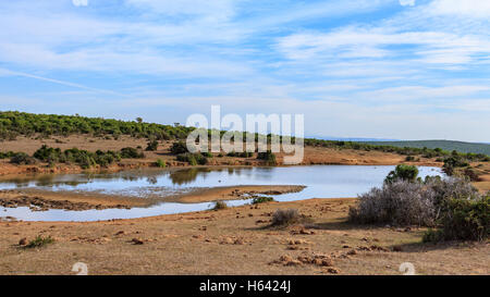 Piccolo corpo di acqua con nuvolosi cieli blu in Addo Sud Africa Foto Stock