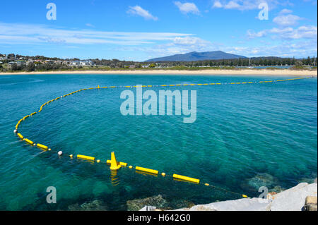 Swimming Area protetta da squali net, Bar Spiaggia Sud, Narooma, Nuovo Galles del Sud, NSW, Australia Foto Stock