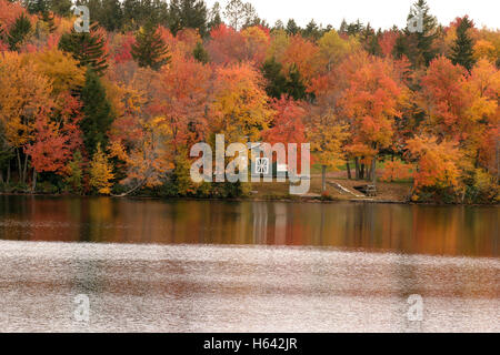 Riflessi nel lago di alberi colori mutevoli in autunno Foto Stock