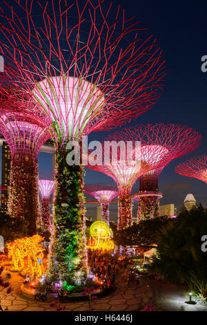 Supertrees illuminato al giardino dalla baia, Singapore Foto Stock