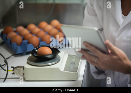 La sezione centrale del personale femminile con tavoletta digitale mentre esamina l'uovo Foto Stock