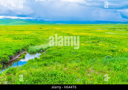 Le correnti fluisce giù dalla Geghama Mountain Range per i prati umidi, ricoperti di fiori selvatici, Gegharkunik, Armenia Foto Stock