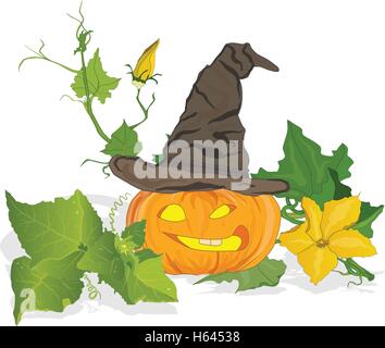 La zucca illustrazione vettoriale isolato Illustrazione Vettoriale