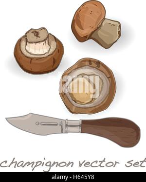 Champignon vettore illustrazione impostato su sfondo bianco Illustrazione Vettoriale