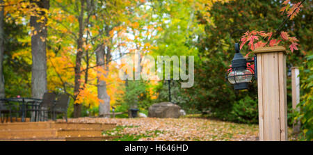 I colori autunnali, caduta foglie e una lanterna in un parco. Foto Stock