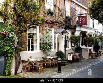 La vecchia vite un pub e un ristorante premiato in grande Minster Street, Winchester, Hampshire. Foto Stock