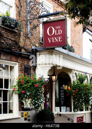 La vecchia vite un pub e un ristorante premiato in grande Minster Street, Winchester, Hampshire. Foto Stock