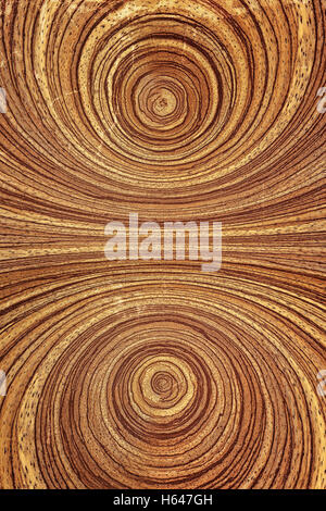 Immagine ravvicinata di anelli annuali a vintage stile rustico. Foto Stock