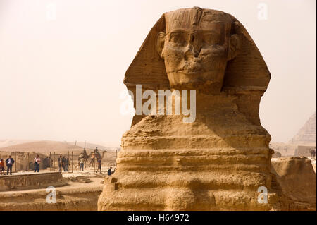 Grande Sfinge di Giza in Egitto, Africa Foto Stock