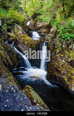 Pecca cade sul Ingleton Waterfalls Trail Foto Stock