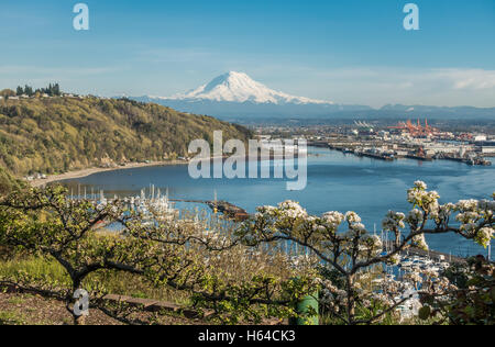 Maestoso Monte Rainier sovrasta il porto di Tacoma. Foto Stock