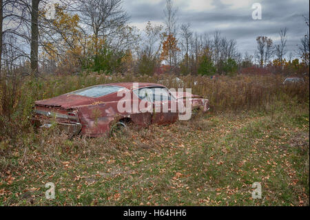 Abbandonato e ruggine Ford Fairlaine Foto Stock