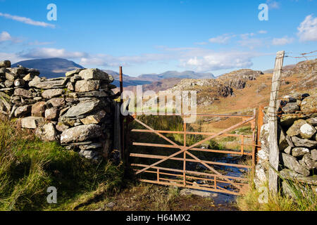 Muro di pietra e rustica fattoria arrugginita cancello su pista di campagna con Nantlle Ridge in lontananza nel Parco Nazionale di Snowdonia (Eryri). Gwynedd Galles del Nord Regno Unito Foto Stock