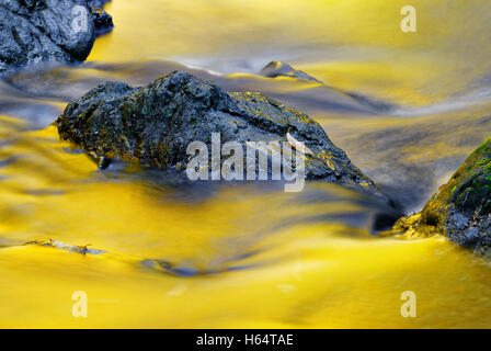 Autunno dorato luce riflessa in acqua Foto Stock