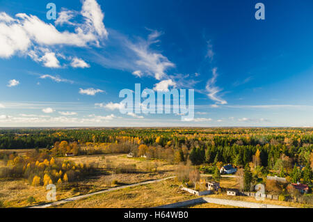 Colori d'autunno foresta contro scenic cloudscape, dalla vista di cui sopra Foto Stock