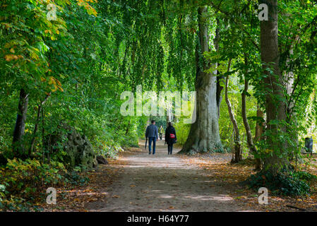 La gente che camminava su un sentiero in una foresta di faggio, Costanza, Baden-Wuerttemberg, Germania Foto Stock