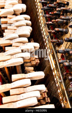 Piano interno di stringhe in prospettiva close up. Foto Stock