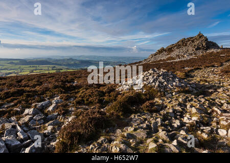 Manstone Rock sulla Stiperstones, vicino Snailbeach, Shropshire, Inghilterra, Regno Unito Foto Stock