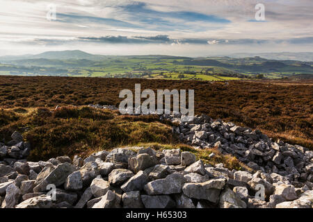 Guardando verso Corndon Hill e il Galles centrale dal Stiperstones ridge vicino Snailbeach, Shropshire, Inghilterra, Regno Unito Foto Stock