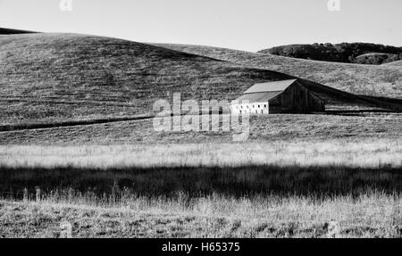 Il vecchio fienile rustico situato in prato terre nelle colline della California Foto Stock