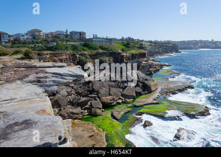 Per Bondi e Coogee a piedi è lungo 6 km situato in Sydneys sobborghi orientali Foto Stock