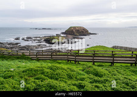 I Nobbies sono situati nella punta Occidentale di Phillip Island (Australia) Foto Stock