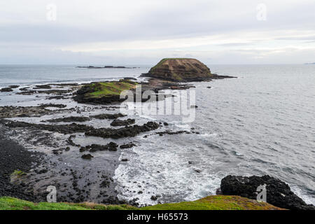 I Nobbies sono situati nella punta Occidentale di Phillip Island (Australia) Foto Stock