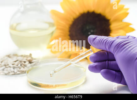 Analisi dell'olio di semi di girasole in laboratorio Foto Stock