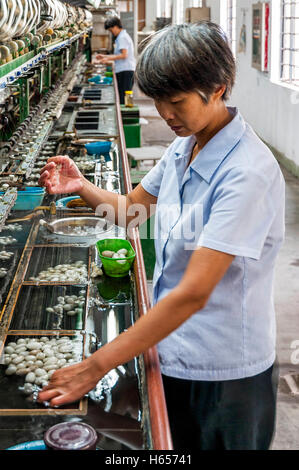 Suzhou, Cina - Agosto 12, 2011: vista di un filo di seta maker in Suzhou No.1 mulino di seta. La seta è una proteina naturale della fibra Foto Stock