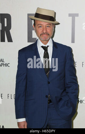 Los Angeles, Ca, Stati Uniti d'America. 24 ott 2016. Fisher Stevens assiste lo screening di National Geographic Channel 'prima del diluvio' a Bing Theatre al LACMA su ottobre 24, 2016 a Los Angeles, California. ( Credito: Parisa Afsahi/Media Punch)./Alamy Live News Foto Stock