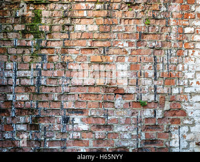 In prossimità di un vecchio weathered red un muro di mattoni. Foto Stock