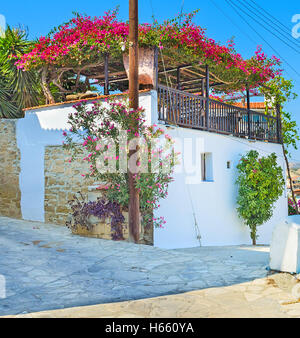 La splendida terrazza sulla casa del tetto decorato con ombrosi cespugli di fiori, Maroni, Cipro. Foto Stock
