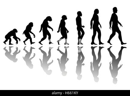 Silhouette uomo evoluzione Illustrazione Vettoriale