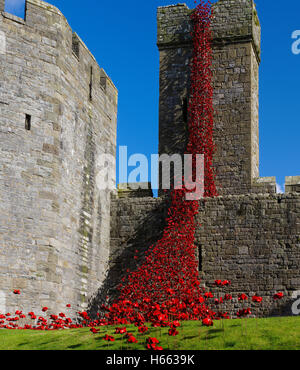 Finestra di pianto installazione a Caernarfon Castle, Galles Foto Stock