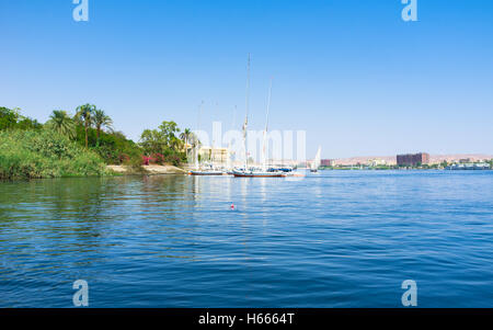 Il viaggio di ritorno su Felucca è l'attrazione turistica più popolare in Aswan, Egitto. Foto Stock